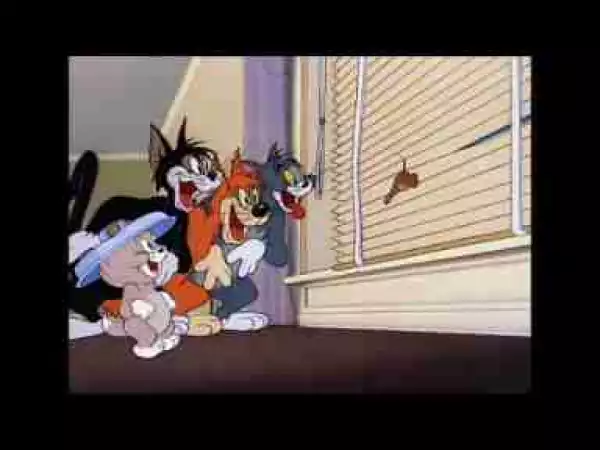 Video: Tom and Jerry, 48 Episode - Saturday Evening Puss (1950)